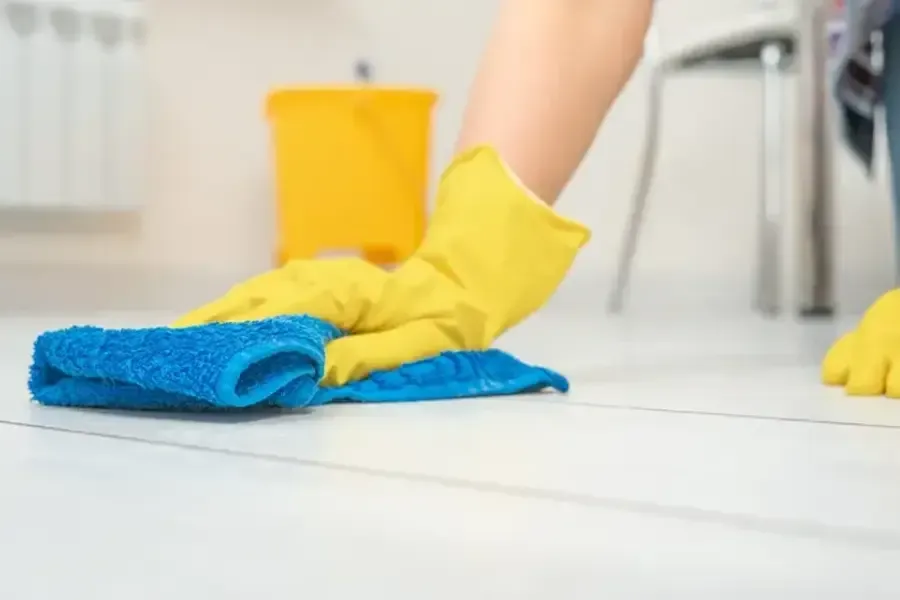 Excellent Deep Cleaning Service Wesley Chapel, FL