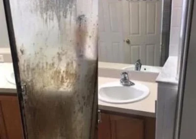 Move-Out Cleaning